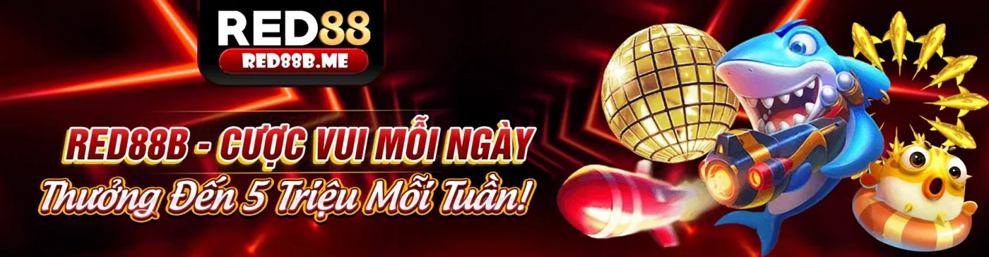 Hình ảnh giới thiệu trang Câu Hỏi Thường Gặp CDBET
